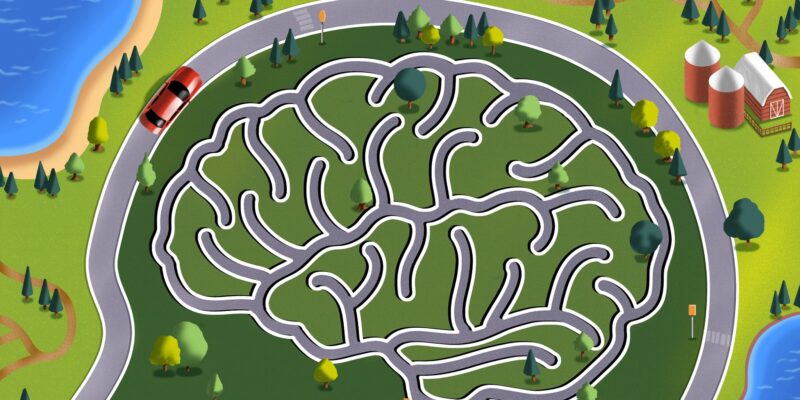 Car Driving Along A Road In The Image Of A Brain